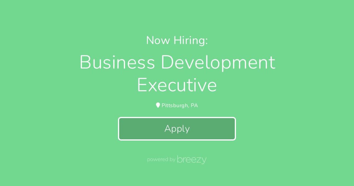 Business Development Executive at Lyra Technology Group