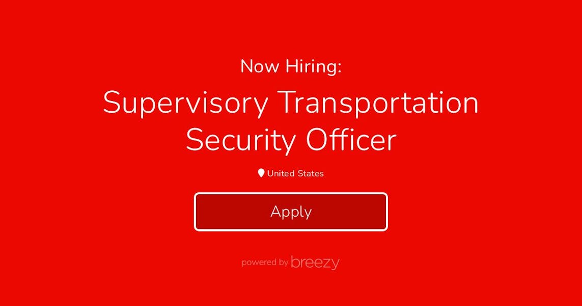 Supervisory Transportation Security Officer at Johnson Security Bureau
