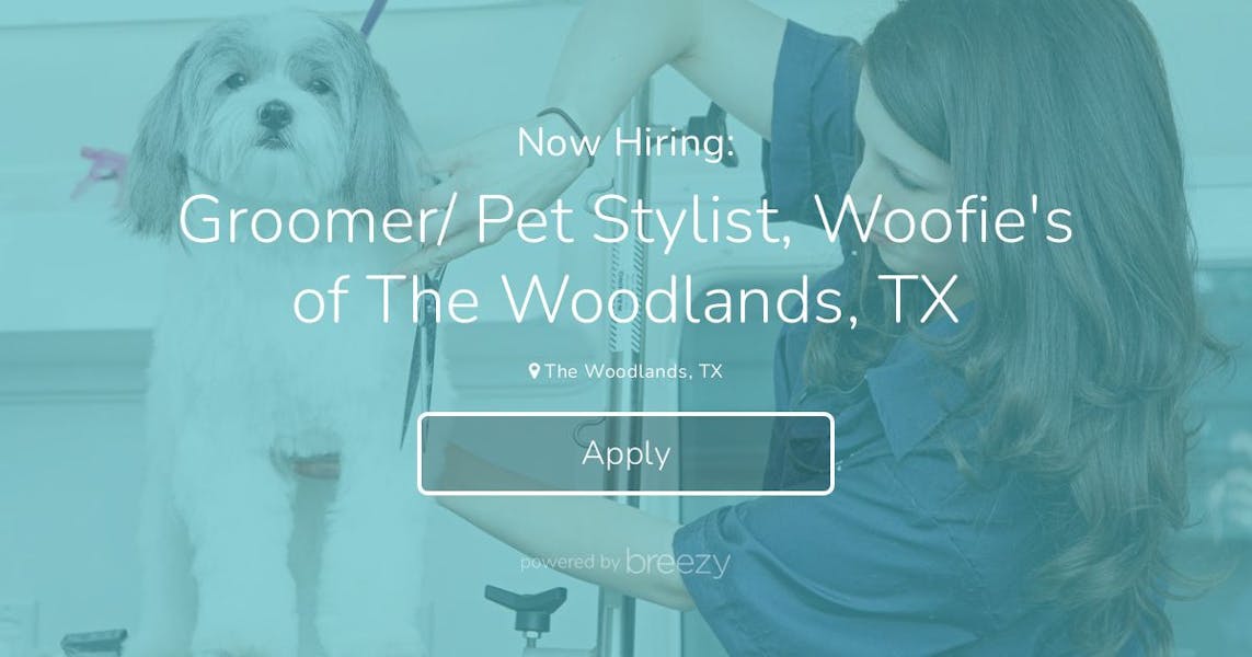 Groomer/ Pet Stylist, Woofie's of The Woodlands, TX at AB