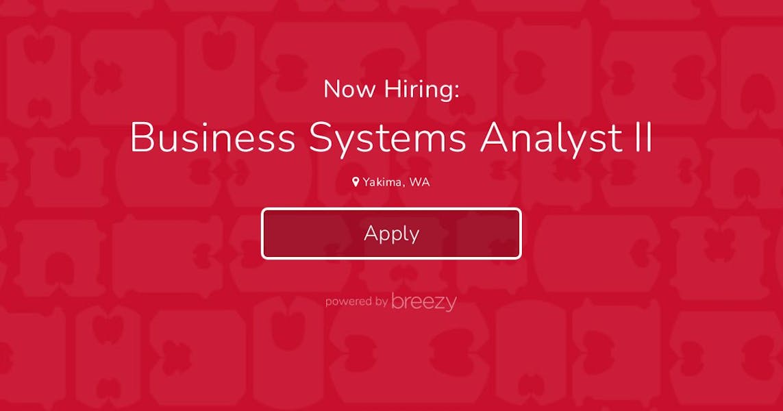 business-systems-analyst-ii-at-kwik-lok