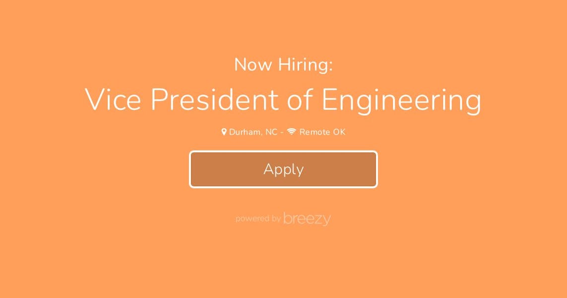 vice-president-of-engineering-at-pluto-health