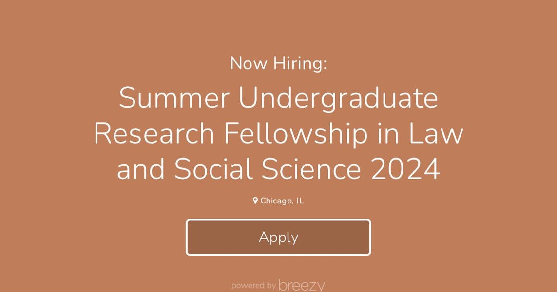 undergraduate research opportunities summer 2024